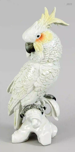 Cockatoo, Ens, model number illegib