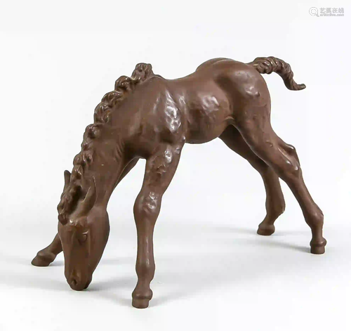 Foal, drinking, Meissen, Boettger s