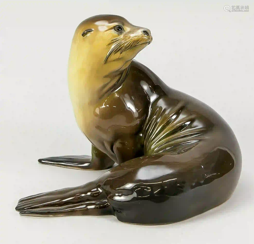 Lying sea lion, Rosenthal, Selb c.