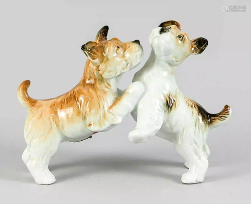 Playing young dogs, Ens, polychrome