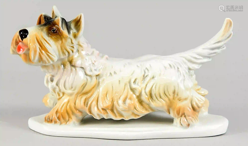 Terrier, Ens, polychrome painted, w