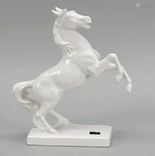 Rising horse, Julius Griesbach, Cor