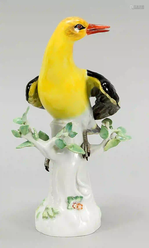 Oriole on a trunk, Meissen, after 1