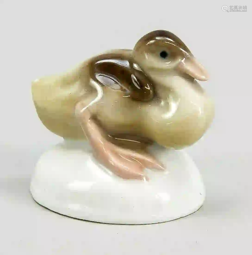 Young duck, Meissen, mark 1924-34,