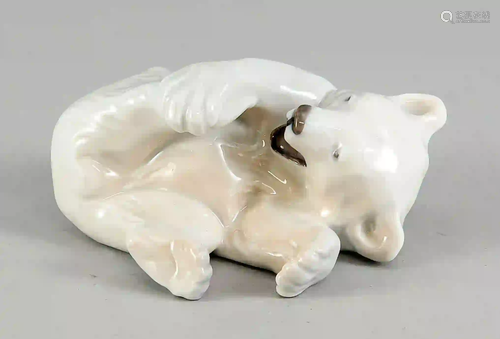 Tolling polar bear, Royal Copenhage