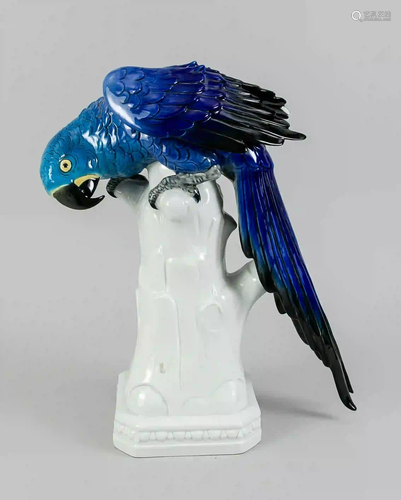 Hyacinth macaw, Ens, underglazed mo