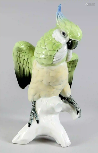 Cockatoo, Ens, model number 7525, p