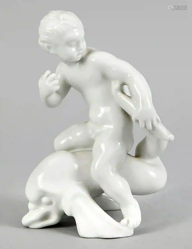 Putto on a dolphin, facing backward