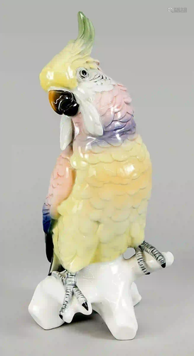 Cockatoo, Ens, model number 7524, p