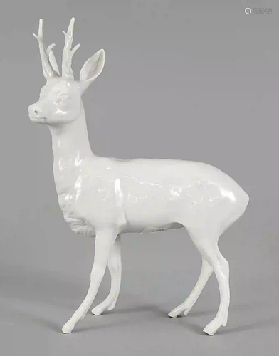 Six-pointer, unmarked (Ens), white