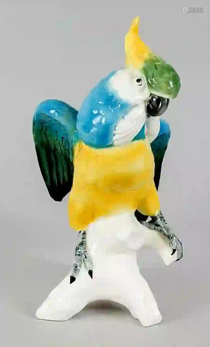 Cockatoo, Ens, model number 7525, p