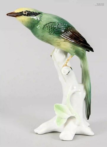 Bird on branch, Ens, polychrome pai