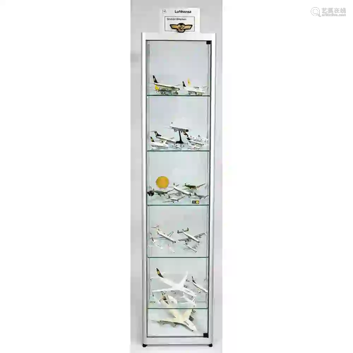 Display case with airplane models,