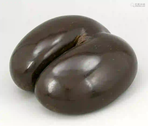 Seychelles nut/Coco de Mer (Lodoice