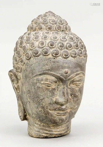 Buddha head, age and origin unknown