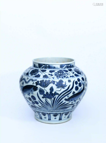 A Blue and White Fish&Algae Pattern Porcelain Jar