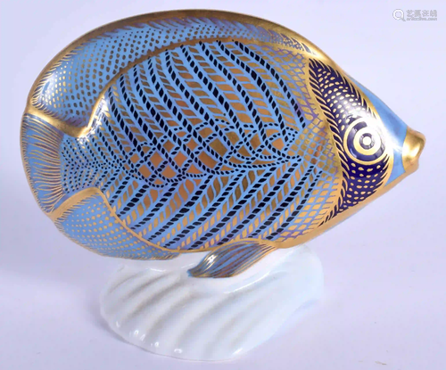 Royal Crown Derby paperweight Chevroned Butterfly Fish.