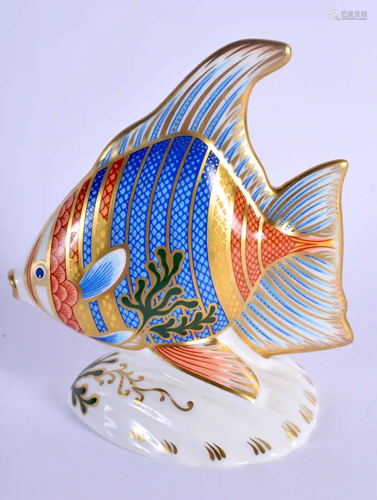 Royal Crown Derby paperweight Pacific Angel Fish