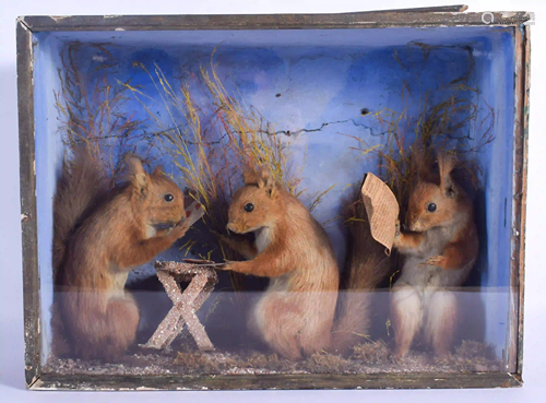 A RARE VICTORIAN TAXIDERMY STUDY OF SQUIRRELS modelled