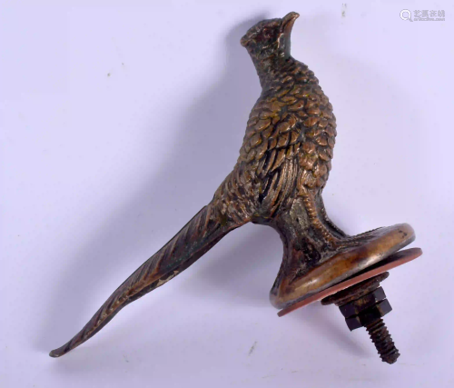 A 19TH CENTRY EUROPEAN BRONZE PHEASANT CAR MASCOT. 10