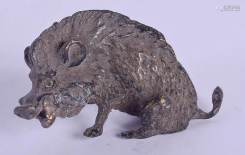 A CONTEMPORARY COLD PAINTED BRONZE HOG. 5 cm wide.