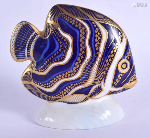 Royal Crown Derby paperweight Koran Angel Fish. 11.5cm