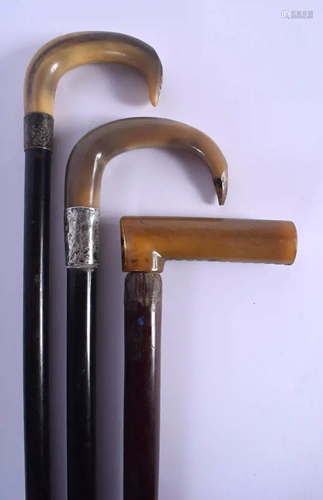 THREE 19TH CENTURY CARVED BUFFALO HORN WALKING CANES.