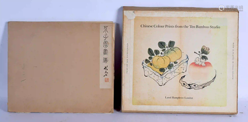 TWO CHINESE PAINTING REFERENCE BOOKS. (2)