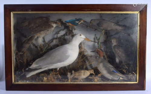 A LARGE VICTORIAN/EDWARDIAN TAXIDERM…