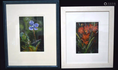 A framed acrylic of a speedwell by S McNab together
