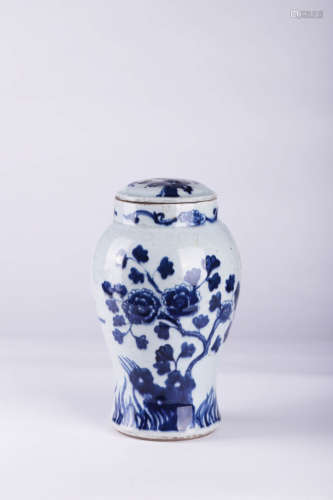 A Blue and White Lotus Porcelain Jar