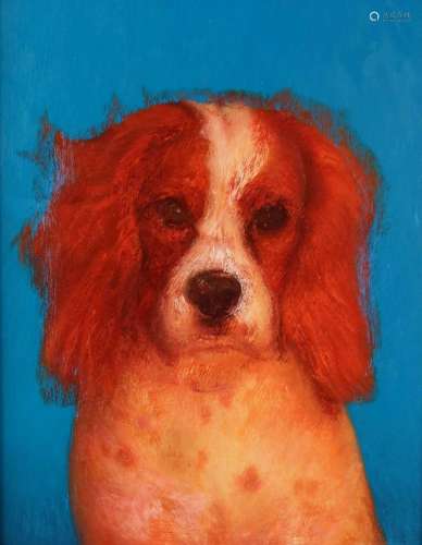 Denby Sweeting (British 1936-2020) Portrait of a Spaniel oil on board