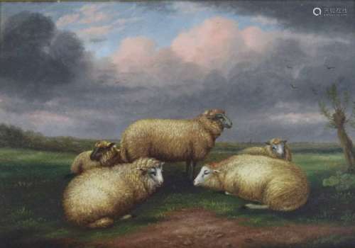 Arthur Jackson (British School active 1885-1910) Sheep Resting oil on board