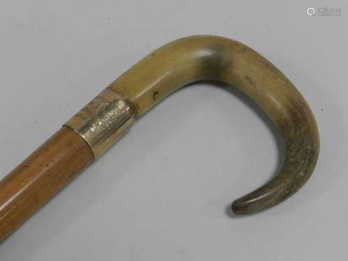 A horn-handled and engraved walking cane of Cumbrian interest