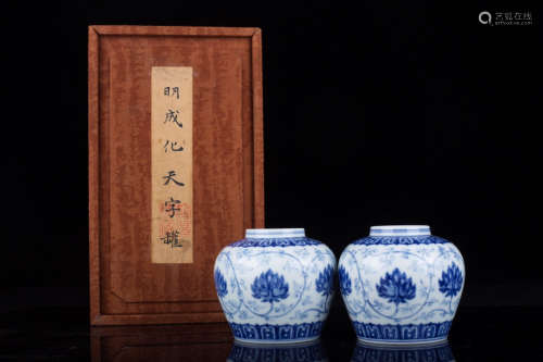 PAIR OF CHINESE BLUE AND WHITE POTS