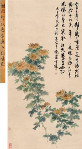 谢稚柳（1910～1997） 菊花图 设色纸本 立轴