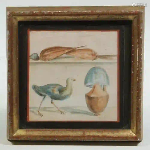 EARLY NATURALIST WATERCOLOR MINIATURE