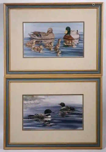 PR FRAMED DUCK PRINTS