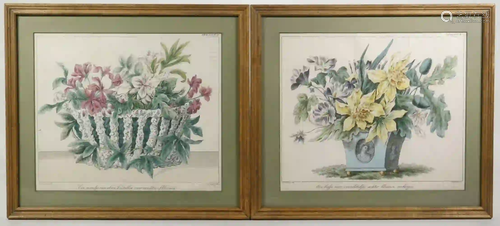 (2) 18TH C. DUTCH FLORAL HAND COLORED ENGRAVINGS,