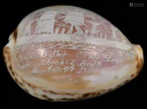 CARVED COWRIE SHELL FOR THE STEAMSHIP 