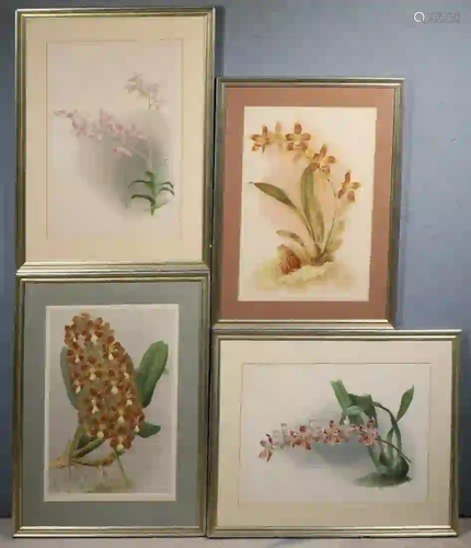 (4) FRAMED ENGLISH CHROMOLITHOGRAPHIC BOTANICA…