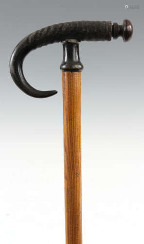 AN EARLY 20th CENTURY GOAT HORN HANDLED WALKING CANE mounted on tapering oak stick with steel