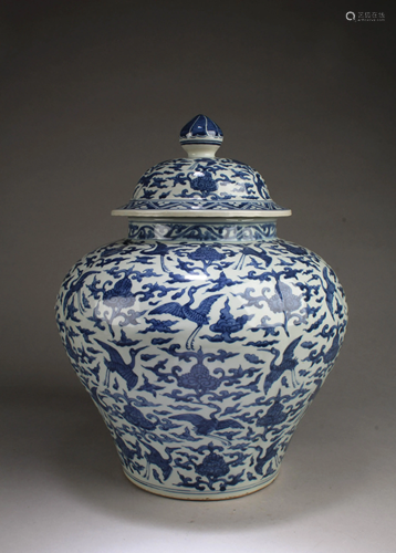 Chinese Blue & White Porcelain Jar