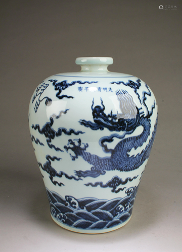 Chinese Blue & White Meiping Vase