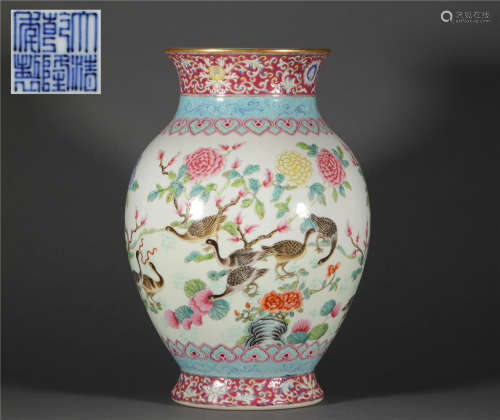Pink Glazed Vase from Qing清代粉彩賞瓶