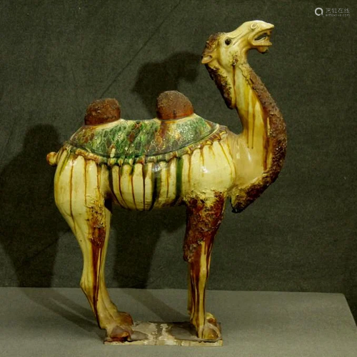 Large Tang Dynasty Sancai Glazed Camel