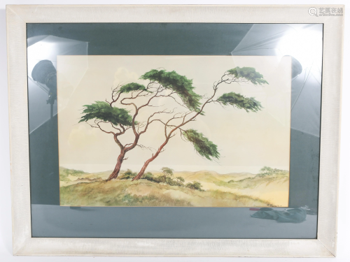 20TH C. JAN KAGIE WATERCOLOR OF A PINE TREE - SIG…