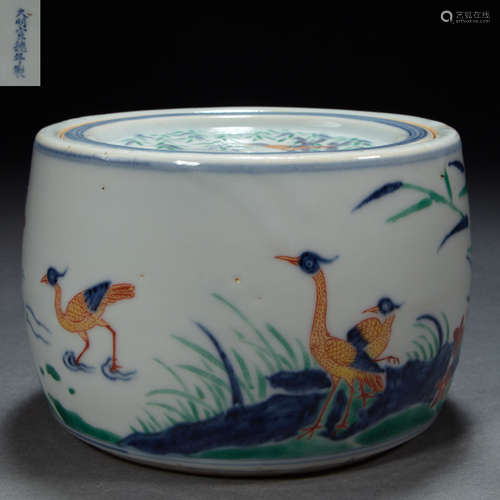 CHINESE PORCELAIN DOUCAI CRICKET JAR