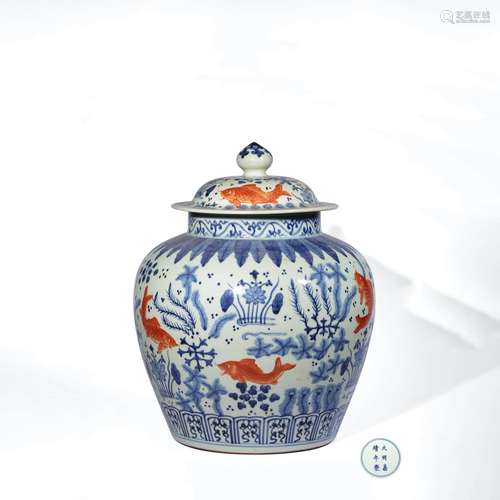 A Blue and White Iron Red Fish&Algae Pattern  Porcelain Jar