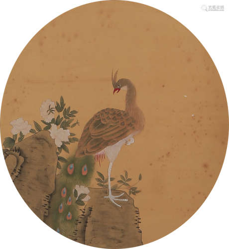 A Chinese Peacock Painting Scroll
